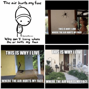 1734751460906.png