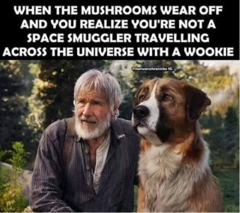 wookie.jpg