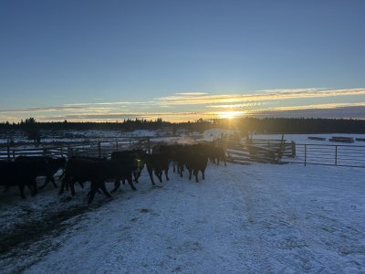 IMG_4200.jpeg