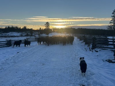 IMG_4202.jpeg