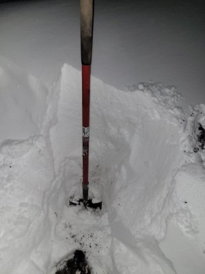 20250121_205811.jpg
