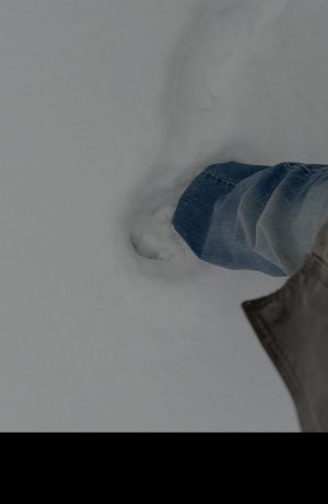 IMG_6914.jpeg