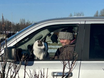 IMG_4369.jpeg