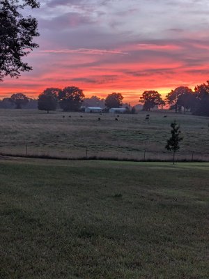 sunset.jpg