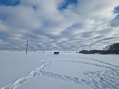 20250219_103050.jpg