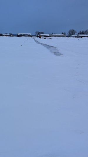 IMG_8956.jpeg