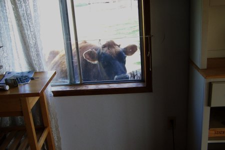 100_2655.JPG 100_2655.JPG