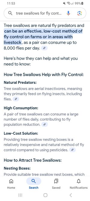 Screenshot_20250316_115313_Google.jpg