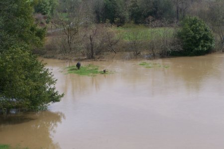 100_2686.JPG 100_2686.JPG