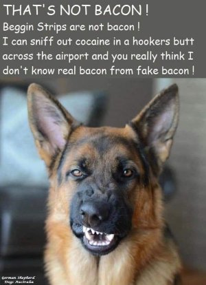 FB_IMG_1742477489750.jpg