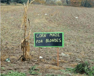 blondemaze.png