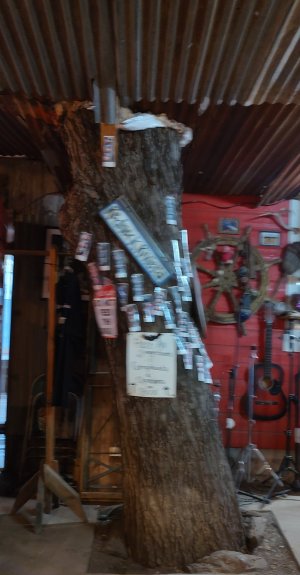 IMG_20250322_191223557_HDR.jpg