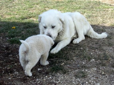 03-25-25 Donald and Maggie 01.JPG