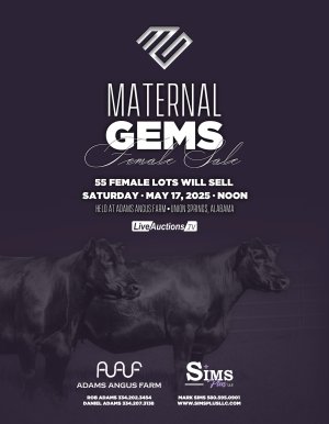 MaternalGems_25 copy.jpg