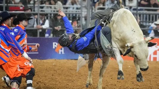 bull-riding.jpg