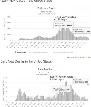 vaccine vs new.jpg