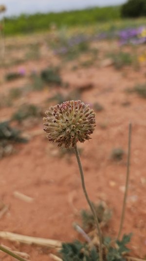 20250415_114130.jpg