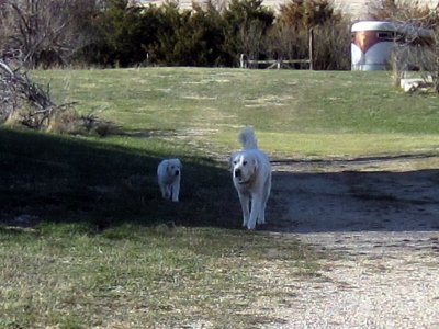 04-14-25 Maggie and Donald 04.JPG
