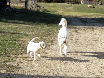 04-14-25 Maggie and Donald 05.JPG