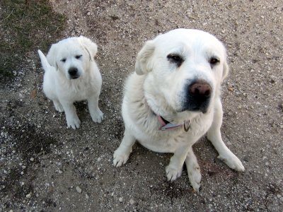 04-14-25 Maggie and Donald 07.JPG