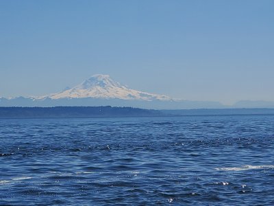 20250418_125825.jpg