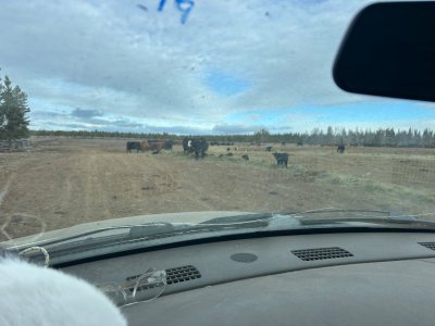 IMG_4677.jpeg