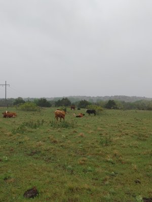 0419251204a.jpg