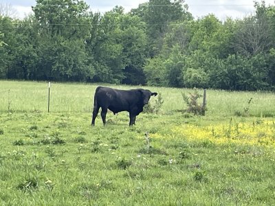 IMG_7623.jpeg