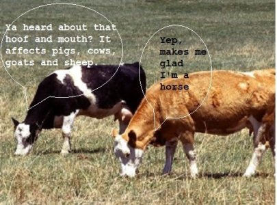 hoofnmouth.jpg