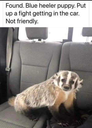 FB_IMG_1746567384448.jpg