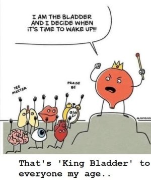 kingbladder.jpg
