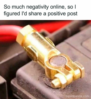 1746812807408.png