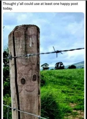 FB_IMG_1668193483011 Happy post.jpg