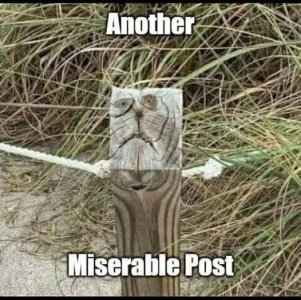 another miserable post.jpg