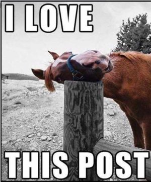 I love this post 1.jpg