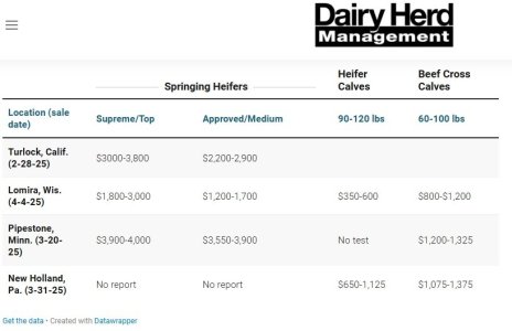 dairyherd2025.jpg