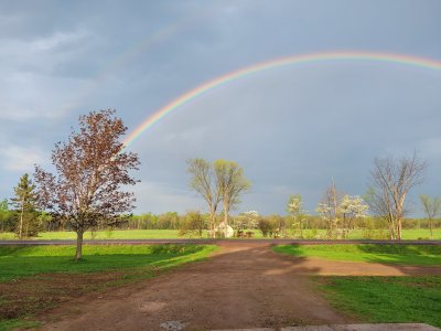 20250515_075559.jpg