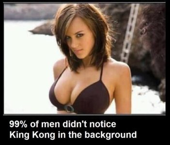 kingkongbackground.jpg