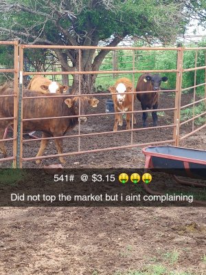 Snapchat-728311453.jpg