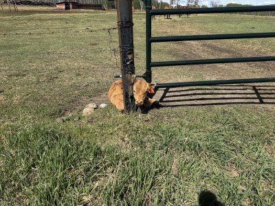 IMG_3804.jpeg