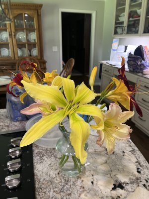 IMG_7485.jpeg