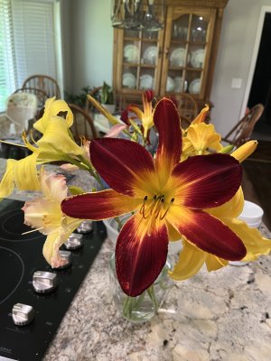 IMG_7486.jpeg