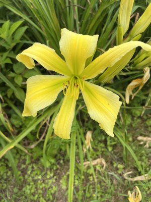 IMG_7503.jpeg