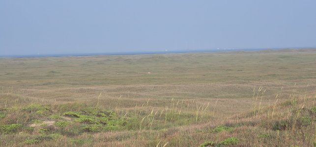 20250613_080529.jpg