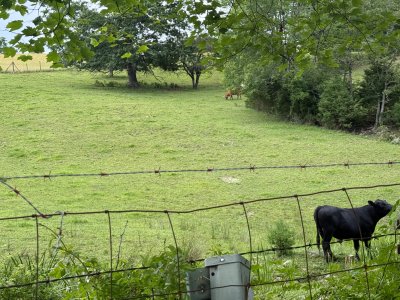 IMG_9290.jpeg