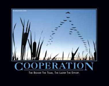 cooperation_6319a278-98e0-40b6-8f62-3a7841af9722.webp