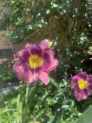 IMG_7534.jpeg