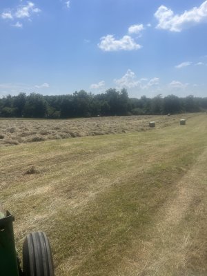IMG_7596.jpeg