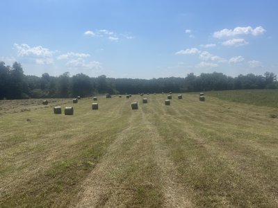 IMG_7597.jpeg