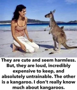 1752205617714.png